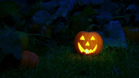 A smiling Jack O’ Lantern glowing from the flickering light within. It is sitting a pumpkin patch with other orange pumpkins, they are lit from the blue moonlight. 