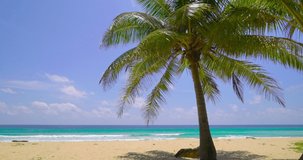 4K Nature video Landscape view of Wonderful Coconut on beach and sea in summer sun, Tropical sea island and beach. High quality footage (4K DCI 4096x2160p. Apple ProRes 10Bit 4:2:2)