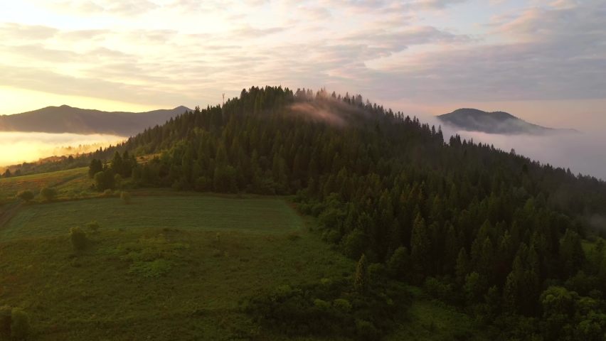 Splendid view from a bird