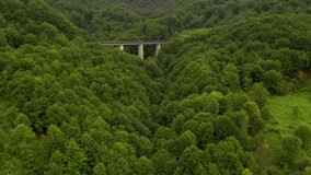 Awesome railway bridge from a bird's eye view in a dense forest. Location place Carpathian mountains, Ukraine, Europe. Cinematic aerial shot. Discover the beauty of earth. Filmed in 4k, drone video.