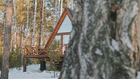 Tracking shot of cozy A-frame cabins in forest in winter
