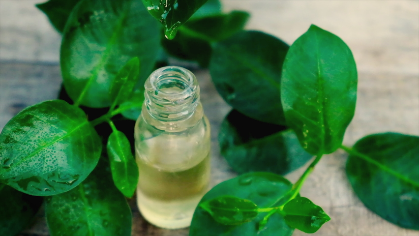 Tea tree essential oil in a small bottle. Selective focus. Royalty-Free Stock Footage #1079301689