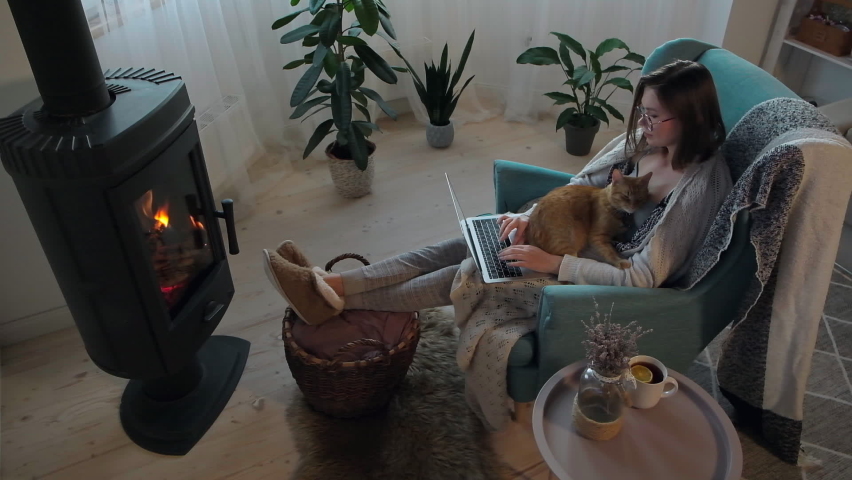 Young woman using laptop, sitting by the fireplace in the armchair, stroking a ginger domestic cat. Remote work, flexible working hours Royalty-Free Stock Footage #1079302421