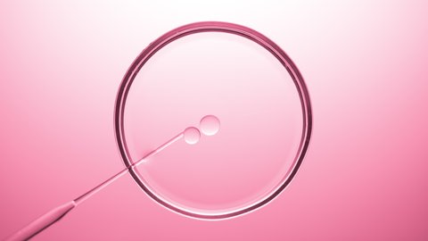 Top view macro shot of chemical dropper injects oil into clear fluid in petri dish on pink background | Abstract skincare cosmetics formulating concept