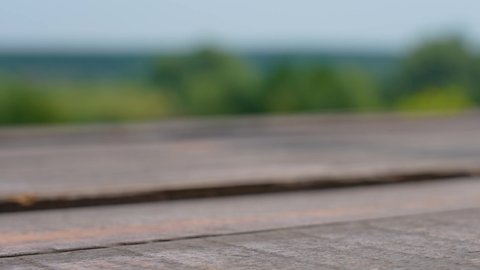 Close up view 4k stock video footage of brown tree planks of wooden floor or table isolated on green and blue blurry natural bokeh background. Backdrop with shallow depth of field