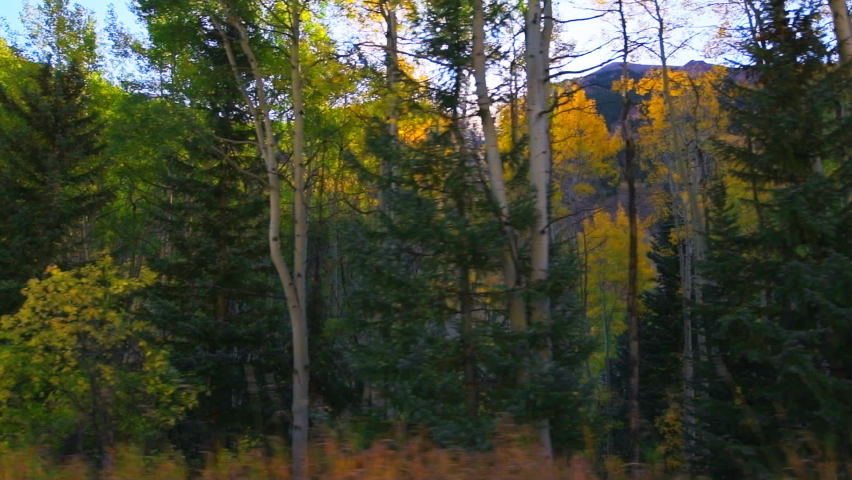 Maroon Bells car point of view side pov slow motion panning by fall golden trees in Colorado USA in rocky mountains and autumn yellow foliage and sun in sky