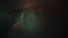 Devil with cow skull head making rite in smoke. Demon with horns conjuring close-up. Evil imp wearing black robe with hood using witchcraft in darkness and fog. Halloween and full moon. - Powered by Shutterstock - Get 15% off with code: PIKWIZARD15