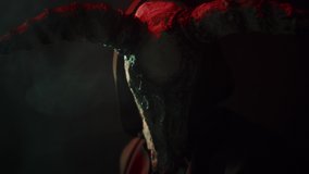 Devil with cow skull head making rite in smoke. Demon with horns turning around close-up. Evil imp wearing black robe with hood using witchcraft in darkness and fog. Halloween and full moon. - Powered by Shutterstock - Get 15% off with code: PIKWIZARD15