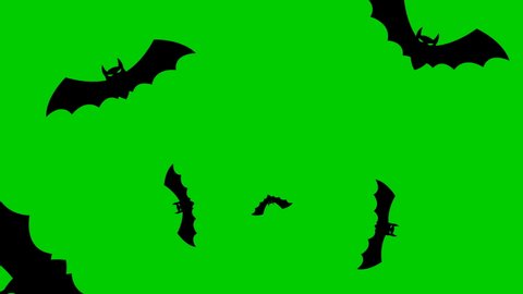 Animated black bats fly out from the center of the screen. Looped video. Concept og Halloween, Black friday. Vector illustration isolated on a green background.