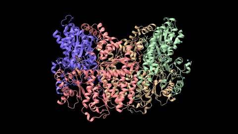 N2-bound nitrogenase MoFe-protein from Azotobacter vinelandii, animated 3D cartoon and Gaussian surface models, PDB 6ug0, black background