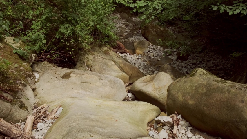 rocks in the caucasus forest