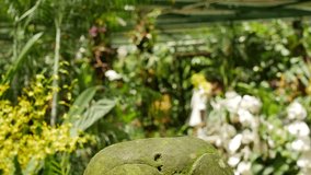 Asian sculpture in a garden - Powered by Shutterstock - Get 15% off with code: PIKWIZARD15