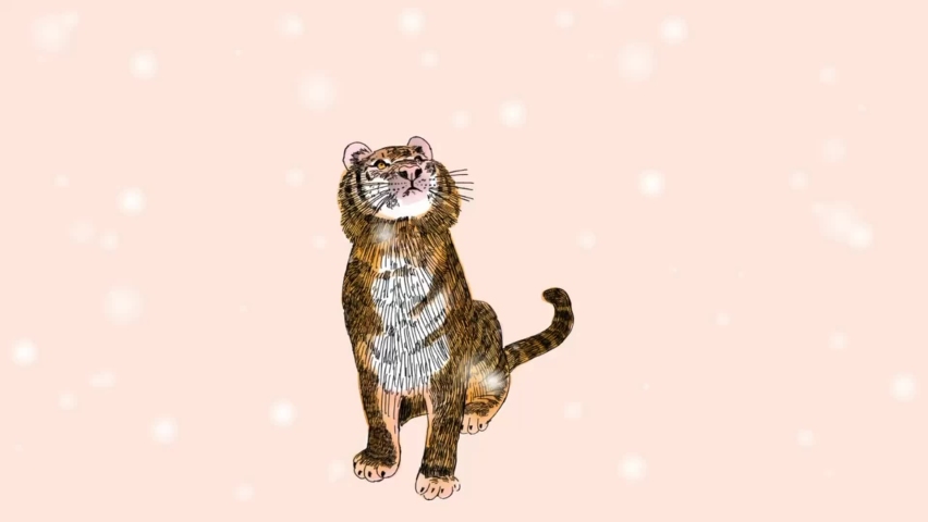 Tiger in Snow,Hello winter,Cartoon hand drawn animation.