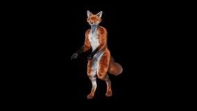 3d cosplay fox character dancing , animation, transparent background - Powered by Shutterstock - Get 15% off with code: PIKWIZARD15