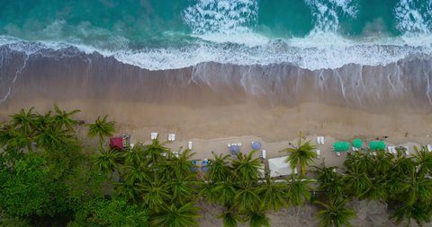 Aerial view drone shot view of Coconut palm trees Top-down view. Green palm tree on beach and sea, Seawater wave on sandy beach. Beach on the tropical island. (4K DCI 4096x2160p 10bit 4:2:2)