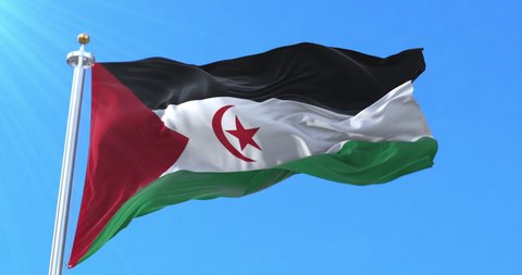 Sahrawi Arab Democratic Republic Flag. Loop