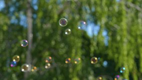 Blurry defocused 4k video footage of sunny rainbow colors soap bubbles flying slowly in air outdoor isolated at green trees bokeh background