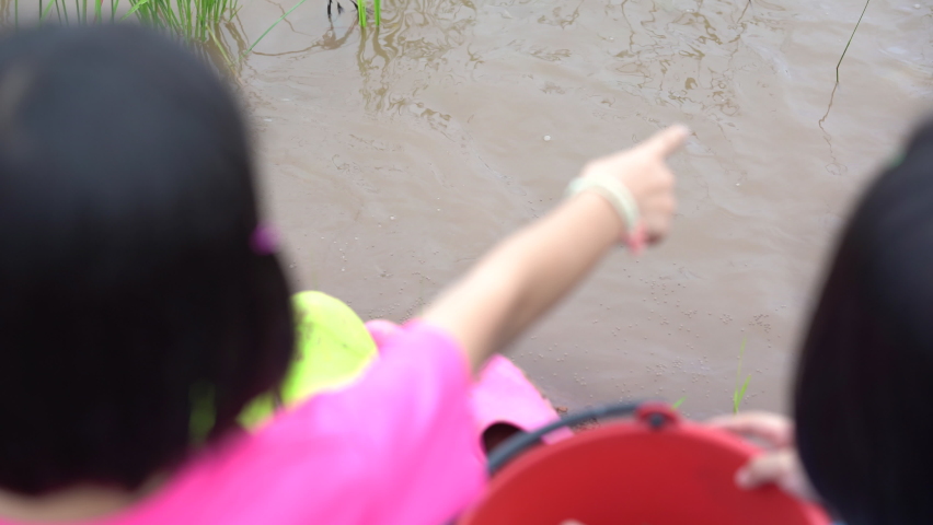 Feeding the fish in pond of organic garden agriculture, behind kids and looking fish eating food in nature pond, animal farm in garden, relaxing and happy time for children 