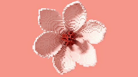 Transformation of a 3D pixel into a digital blooming flower. Seamless looped. NFT concept. 3D animation.  
