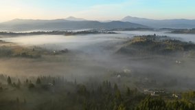 Drone flies over a picturesque foggy valley at sunrise. Location place Carpathian mountains, Ukraine, Europe. Cinematic aerial shot. Discover the beauty of earth. Filmed in 4k, drone video.