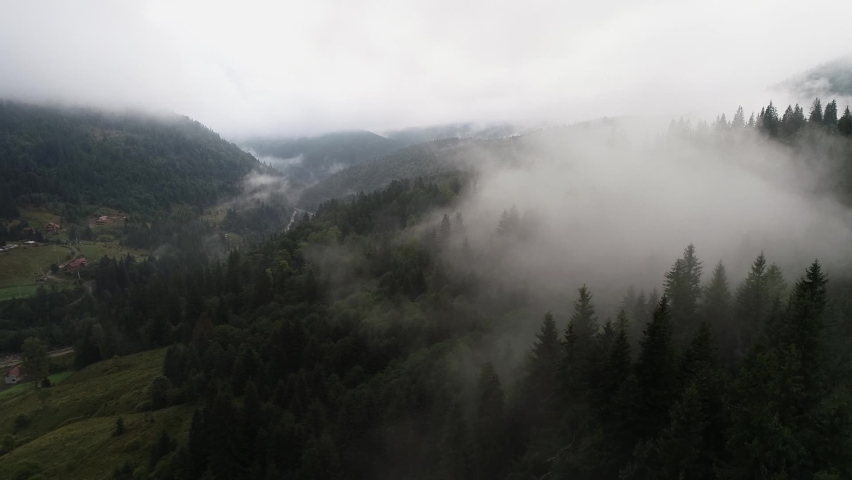 Rainy weather in mountains. Misty fog blowing over pine tree forest. Flying over an amazing rain forest, aerial view above rain forest with fog. Flying above the clouds in Carpathian Mountains. 4k