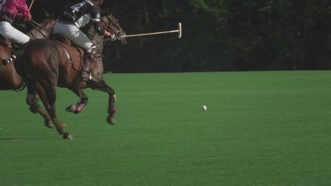 UFA RUSSIA - 05.09.2021: Match on a horse in a polo club. Two riders riders make a hit on a white ball on green grass. Players hit the ball a wooden stick to polo. Luxury game, slow motion.