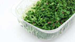 Microgreens. Fresh flax seeds micro greens in container for delivery or sale on white background. 4K UHD video 