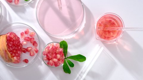 Background Cosmetic laboratory research and development with pomegranate extract. Science bio skincare cream serum product with pomegranate extract. Natural organic beauty cosmetics concept. Top view