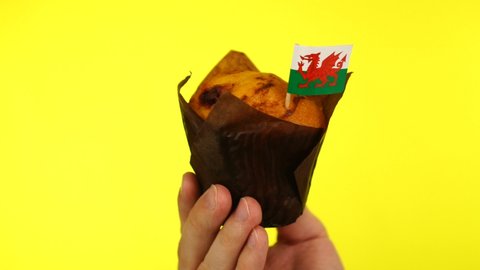 Cupcake with Welsh flag on male palm against yellow background