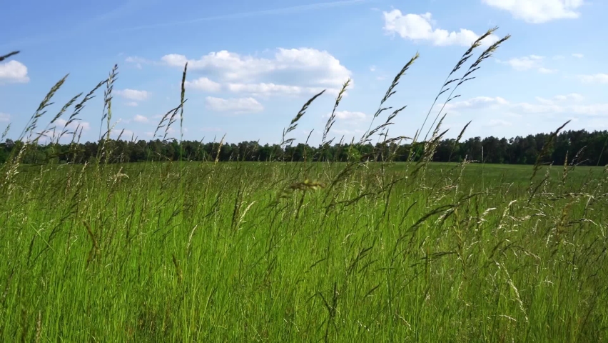 Schorfheide landscape of Brandenburg County, Germany