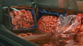 Fish frozen in refrigerators. The price is indicated. 4k video