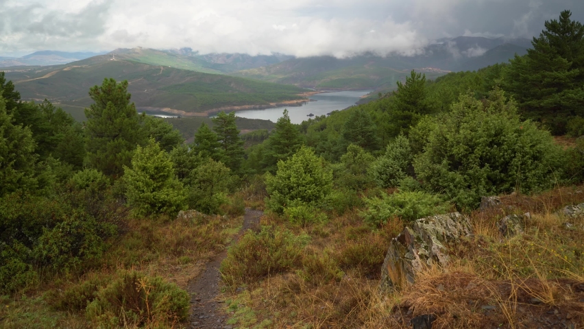 Path between the pine and coniferous forest with a blue lake in the background.