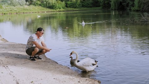 feeding ducks. man, with blazer and sunglasses, is sitting by the lake or pond and feeding swans and ducks with bread, in city park.
