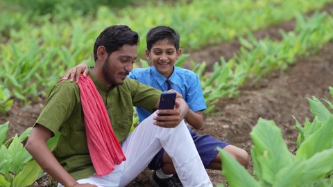 Indian farmer using smartphone with his child at green turmeric agriculture field.