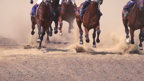 Horse Racing. The Feet of the Horses at the Racetrack Raising Dust and Dirt. Close Up. Slow motion.