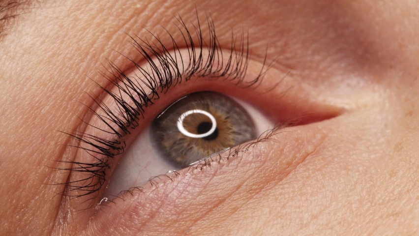 SLOW MOTION: A woman's eye with long black eyelashes after lamination. Closeup, girl's eye opening with long black eyelashes. Close-up of the human eye.
 | Shutterstock HD Video #1079542388