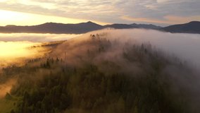 Gorgeous view from a bird's eye view of the thick fog that covers mountains. Location place Carpathian mountains, Ukraine, Europe. Cinematic aerial shot. Beauty of earth. Filmed in 4k, drone video.