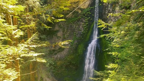 Marymere Falls waterfall in the sunshine in the Hoh Rainforest of Olympic National Park