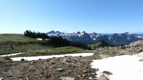 Cinematic 4K panoramic pan footage of the alpine meadows, melting snow and flowering slopes of the Alta Vista Trail of the Paradise area on Mount Rainier in Mount Rainier National Park in Washington