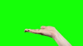 Caucasian female hand opens palm on green screen. Dark varnish on palm nails on a green background. Finger gestures isolated with neat manicure on color key - Powered by Shutterstock - Get 15% off with code: PIKWIZARD15