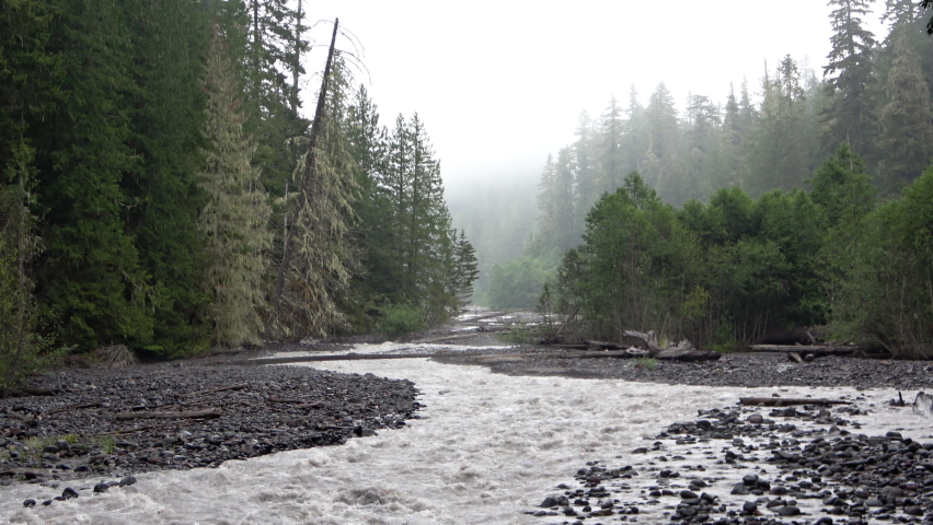 The landscape of the Nisqually River in the Mount Rainier National Park, Washington 