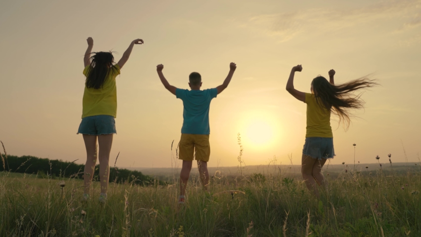 Shutterstock Video