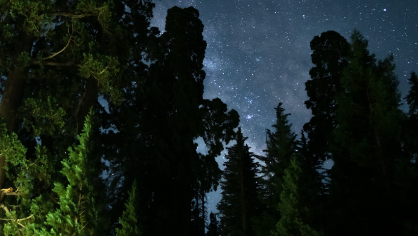 Sequoia Trees Milky Way South Sky in Sequoia and Kings Canyon National Park General Grant Grove California USA