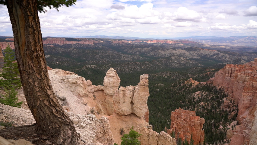 Bryce Canyon National Park Rainbow Point Hoodoos Rock Formation and Pine Tree Utah Southwest USA