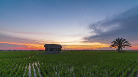Time lapse of a sunset view at an abandoned house in the middle of a secluded paddy field at Sungai Sireh, Selangor. Malaysia. Full HD. 