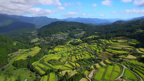 Beautiful terraced rice fields in Kochi prefecture, Japan