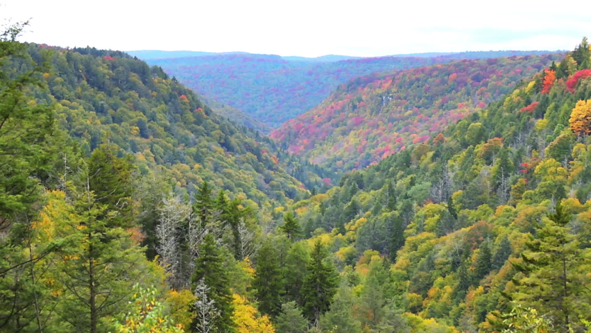 Allegheny mountains in autumn fall season with red and yellow foliage at Lindy Point overlook in Blackwater Falls State Park in West Virginia cloudy day
