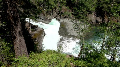 Stevens Creek Trail Fall, Mount Rainier National Park, Washington USA