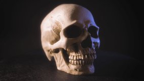 A looped 360-degree video of a human skull on a black background. Color illumination.