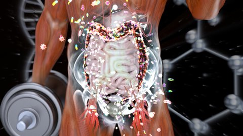 Abstract animation of the Gut Microbiome